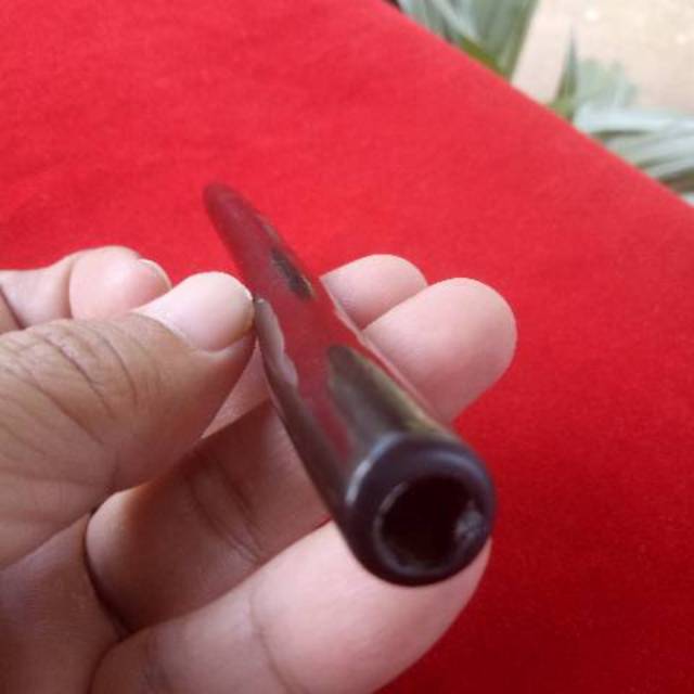 PIPA ONCE AKAR BAHAR HITAM