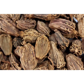 Black Cardamom 25g Kapulaga  Hitam Cardamom Hitam India  