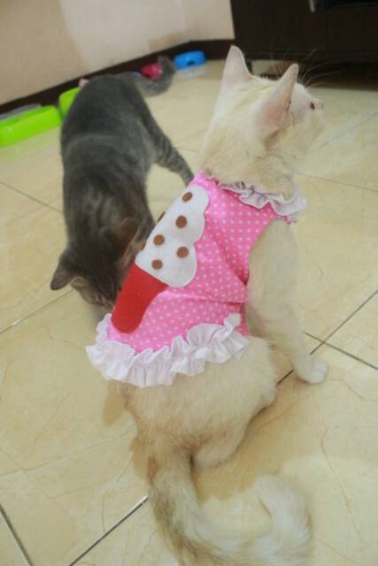 Baju cupcake polkadot baby pink lucu untuk kucing dan anjing size S M L XL