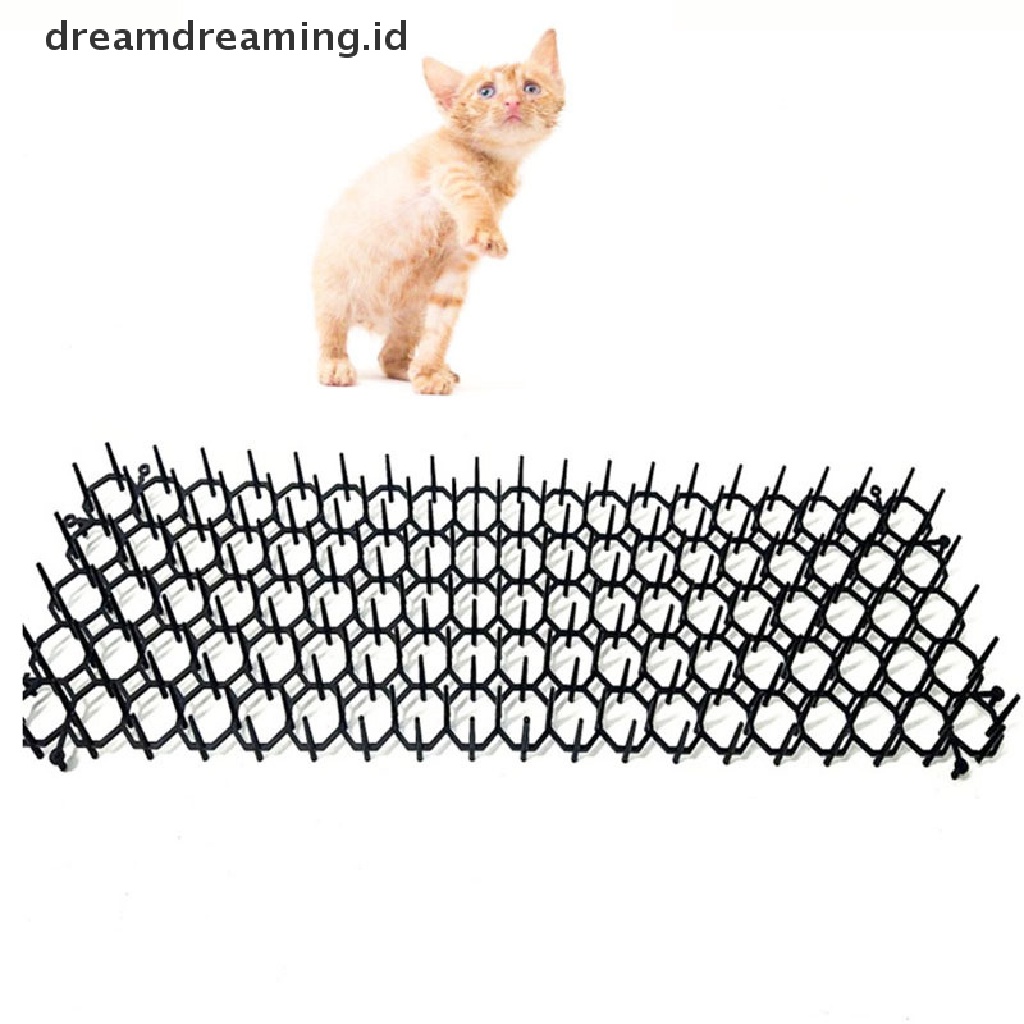 (Dreamdreaming.Id) Duri Pengusir Kucing