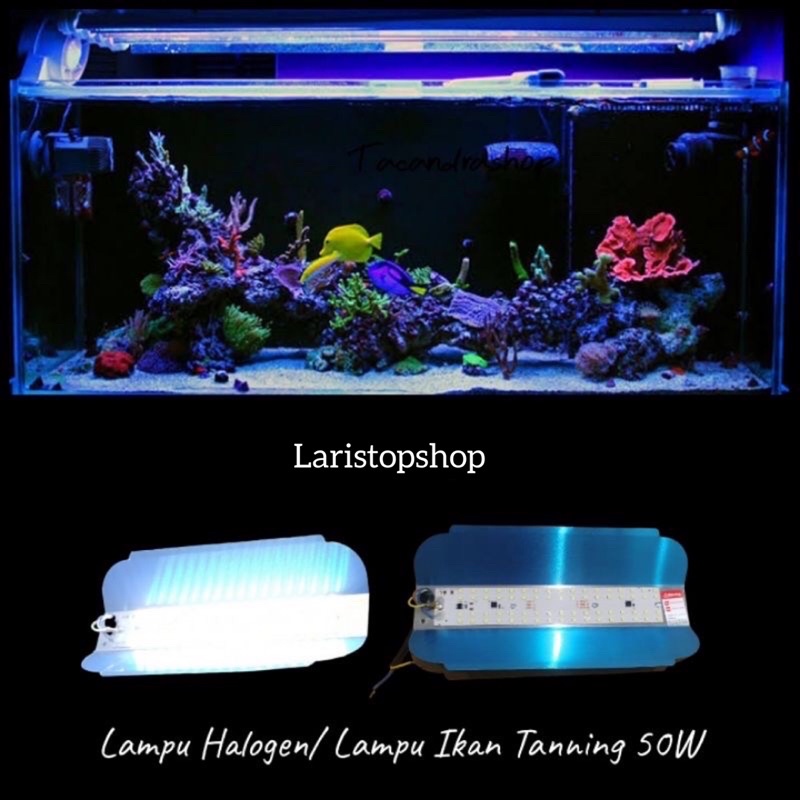 Lampu Tanning Progres Aquarium ikan / Lampu Aquarium Aquascape LED Tanning Arwana Super Hemat Listrik /  Lampu Tanning Akuarium Ikan Louhan Arwana