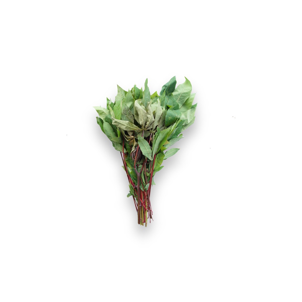 

SAYUR ORGANIK Daun Singkong