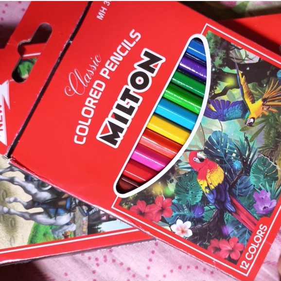 COLORED PENCILS PENSIL WARNA 12 PCS-1