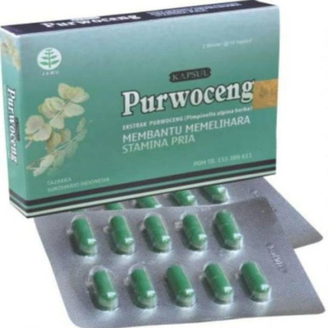Blister Purwoceng Obat herbal khasiat ampuh stamina pria kuat dan tahan lama dengan kapsul purwoceng