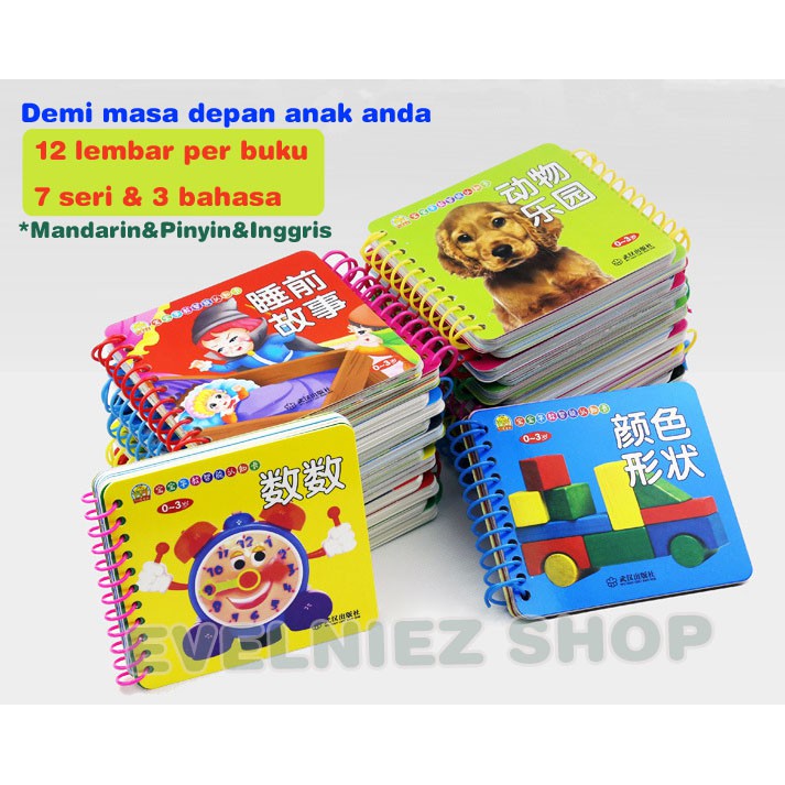 Flashcard Mandarin Anak/Buku Membaca Mandarin Anak/buku