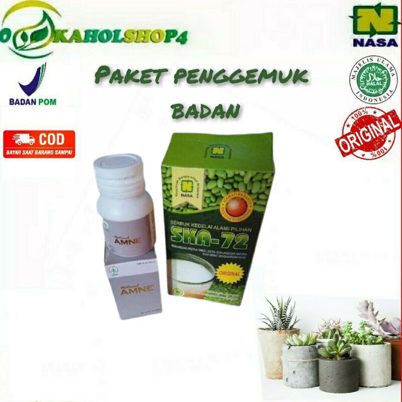 

PAKET HERBAL PENGGEMUK BADAN SUSU KEDELAI AMNE NASA-PENAMBAH BERAT BADAN ANAK DEWASA-ORIGINAL