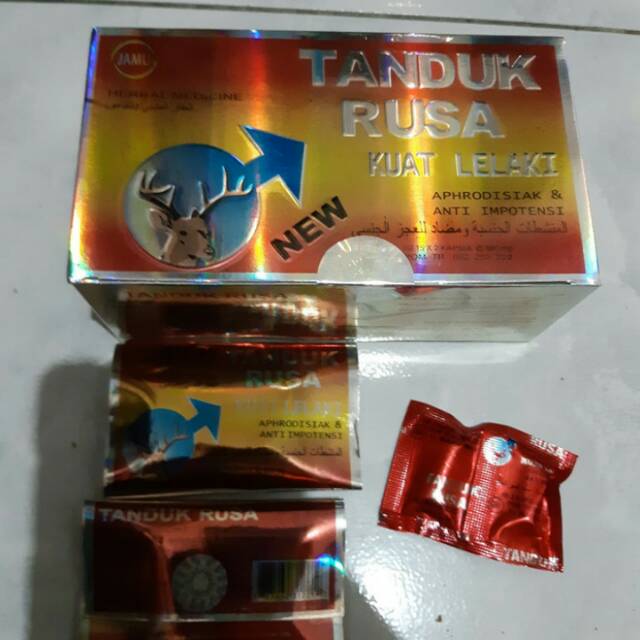 kapsul tanduk rusa