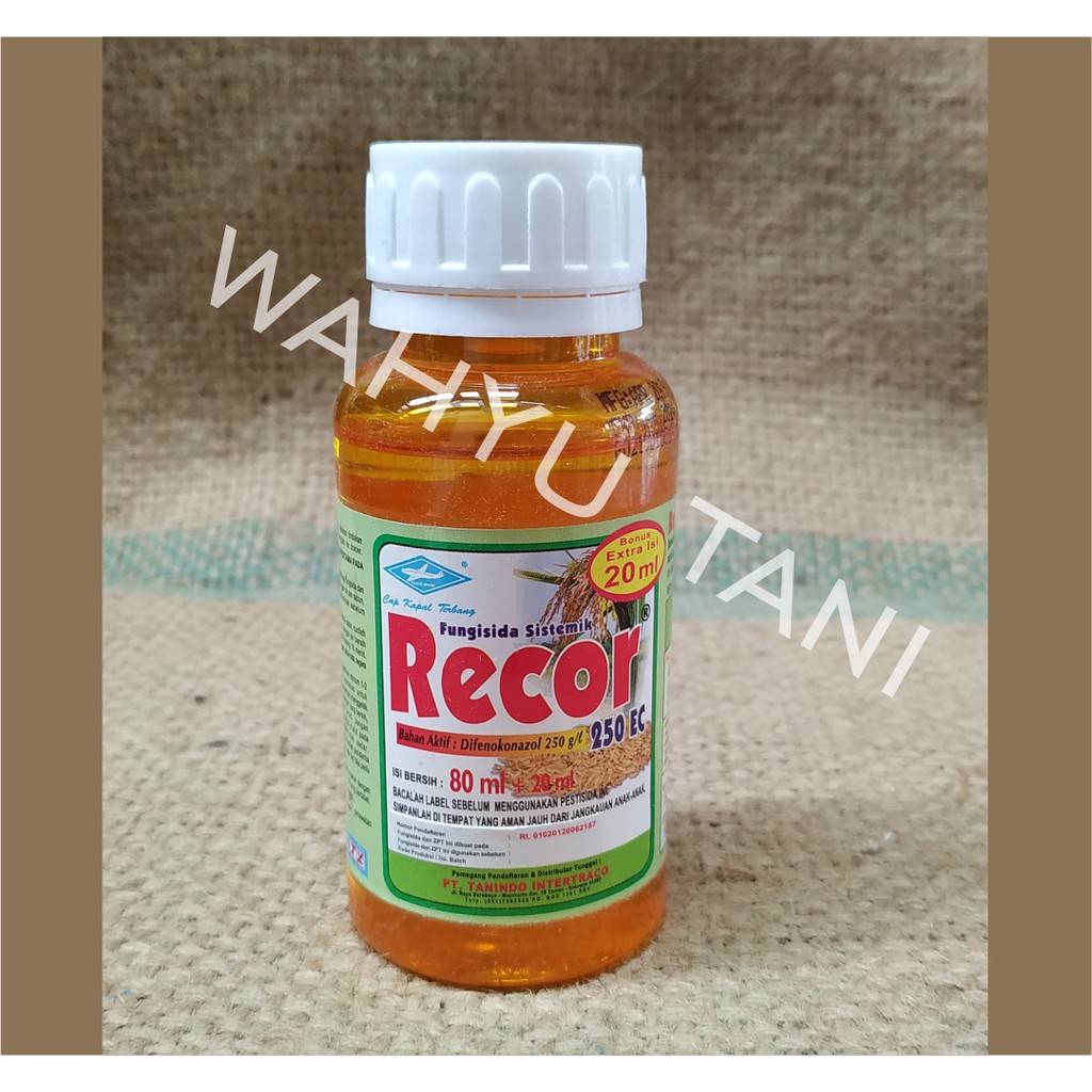 Recor 300 ec 100 ml ZPT dan Fungisida sistemik