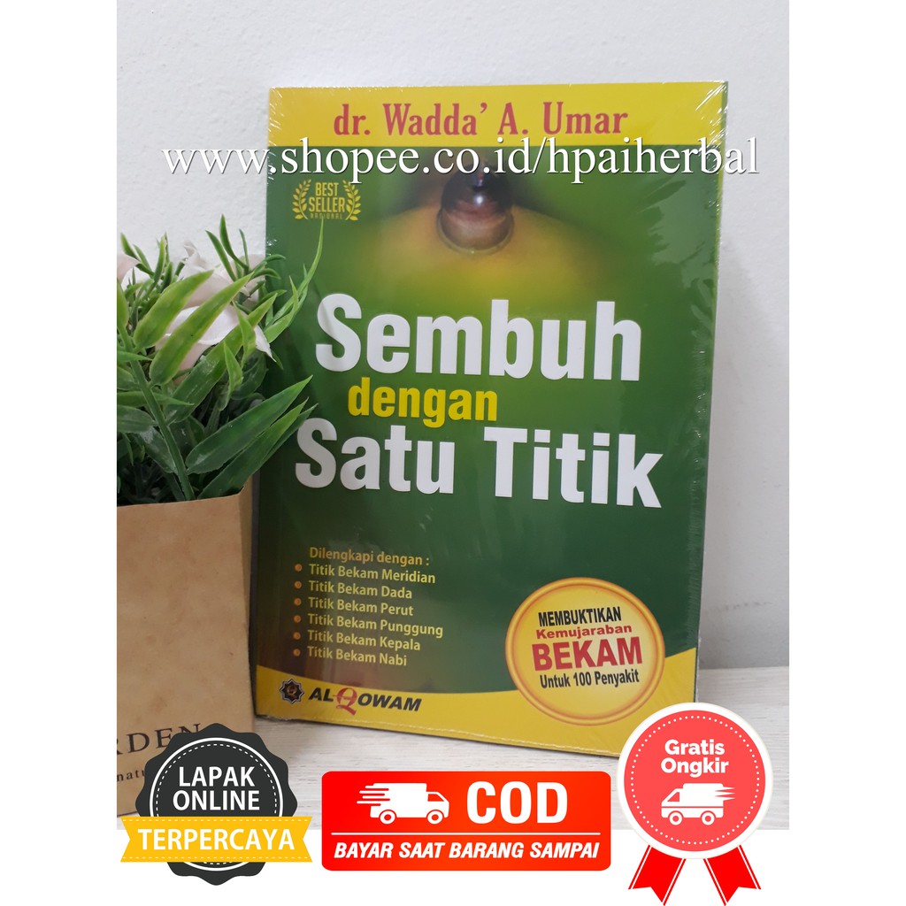 BUKU BEKAM SEMBUH DENGAN SATU TITIK - BUKU BEKAM BEST SELLER