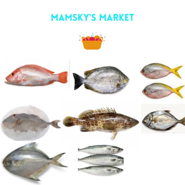 

PROMO IKAN KAKAP, IKAN KUE, IKAN KERAPU, IKAN BAWAL, TONGKOL, IKAN EKOR KUNING, IKAN AYAM AYA