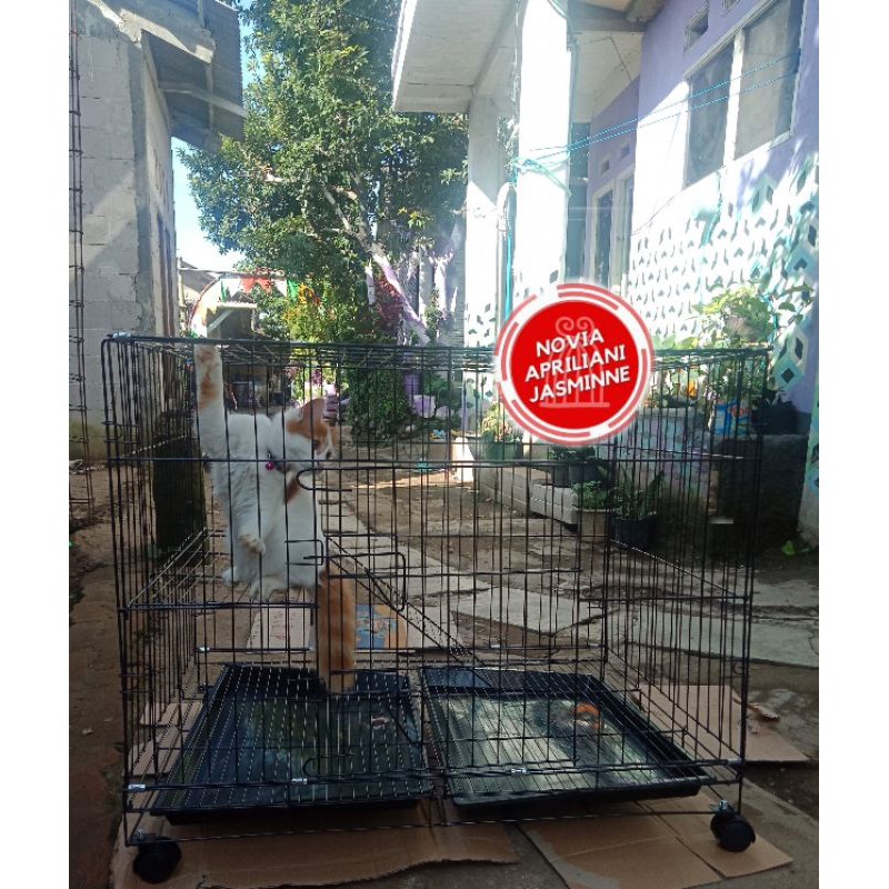 kandang jumbo xxl kandang kucing kelinci musang monyet anjing  dll free roda