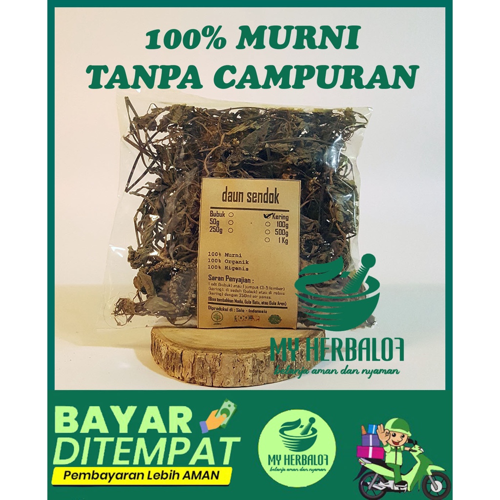 

Daun Sendok/Sendokan Kering / Plantago Major / Murni - Jsr - Rempah / Premium Quality