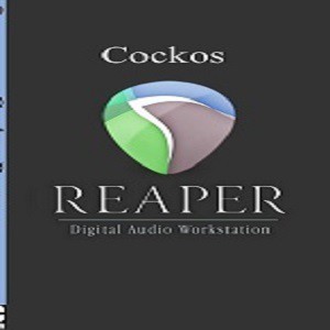 Cockos Reaper 5.941 Bonus FL Studio Software Mixing Editing Recording