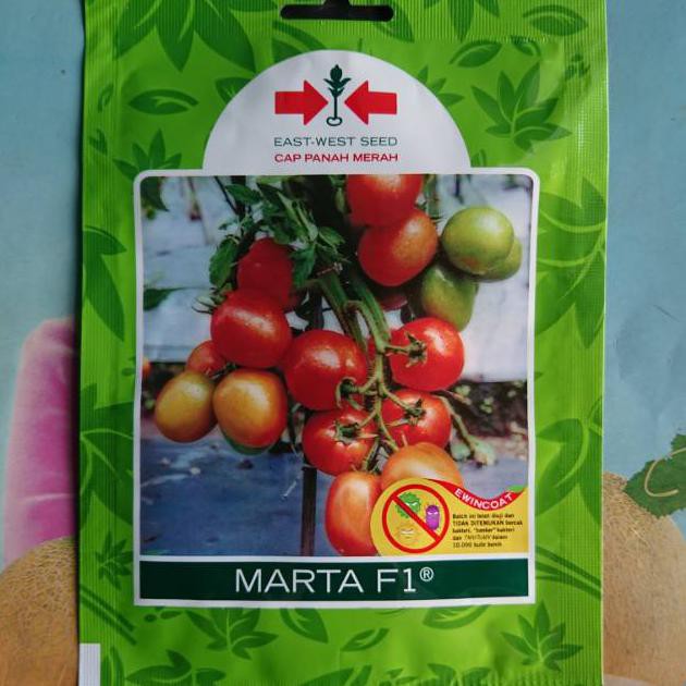 SIF BENIH BIBIT TOMAT BUAH BESAR MARTA F1 150 BIJI