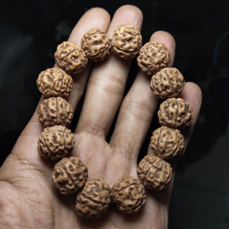 gelang rudraksha jenitri asli