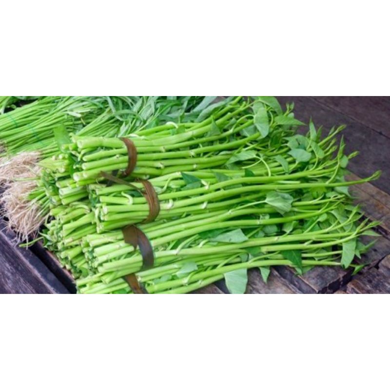 

sayur kangkung /ikat (ISI BANYAK)