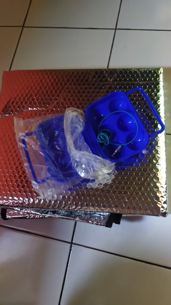 Tempat Telor Isi 6 Butir Egg Case