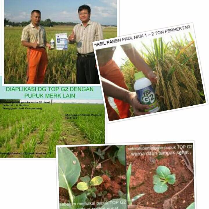 pupuk cair TOP G2