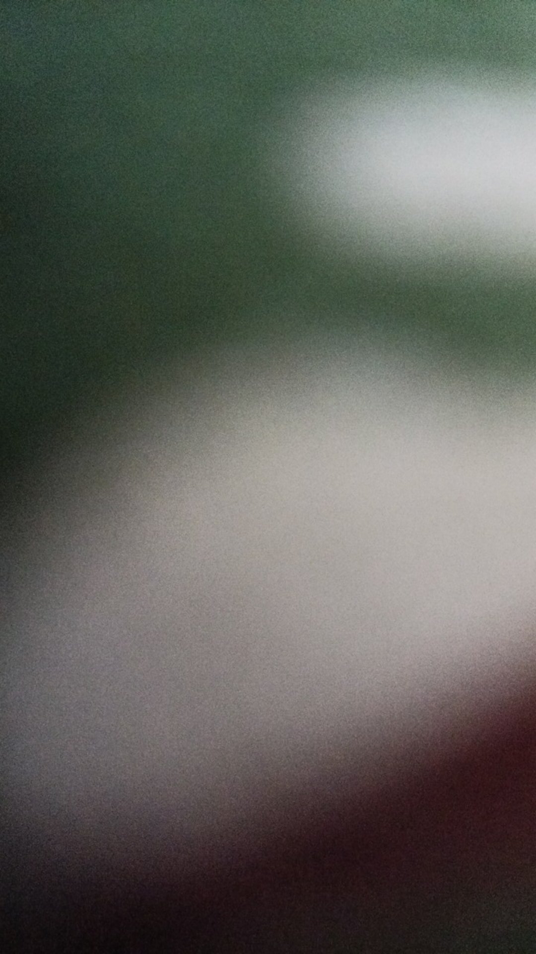 My Bottle/ Botol Minum / Infused Water Fruit  No Pouch