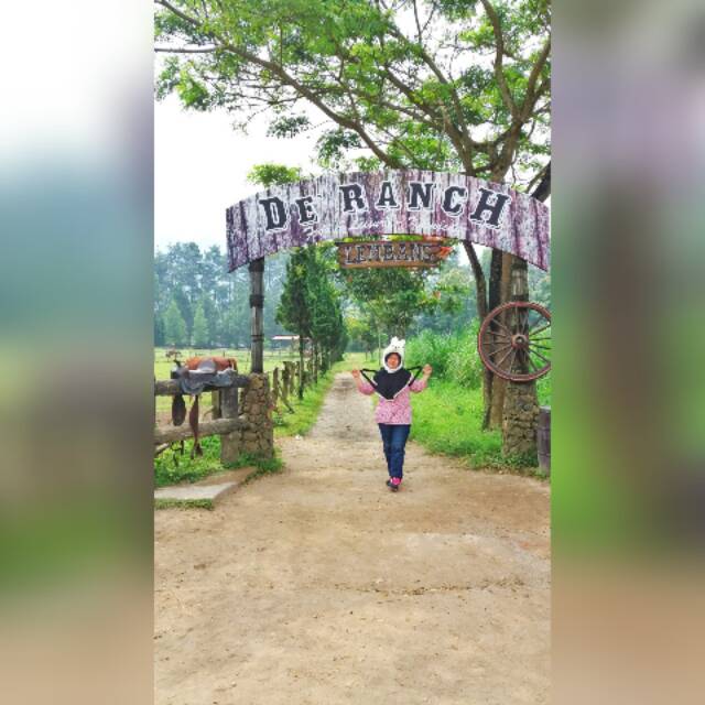 mily.gyu