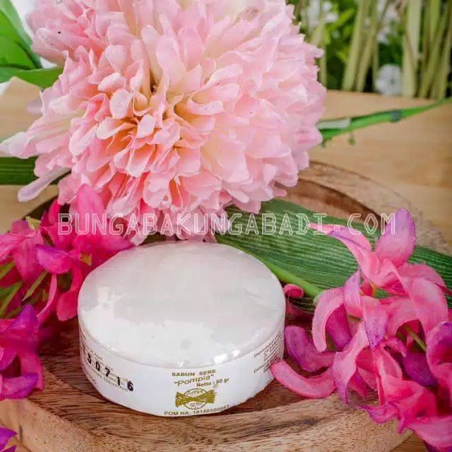 Sabun Penghilang Biang Keringat - Sabun Herbal Biang Keringat - Bentol di Badan - Ruam - Gatal-gatal