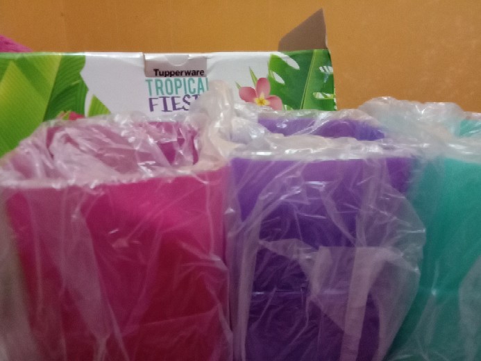 Promo Tropical Fiesta (6)