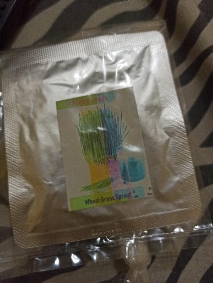 Benih Bibit Biji Wheat Grass Microgreen Rumput Gandum Kemasan Alumunium Foil