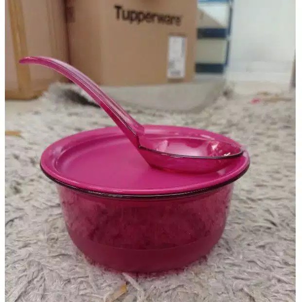 PROMO Ecer Fuchsia Personal Bowl (1)