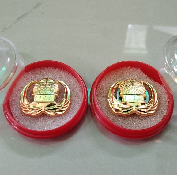 Pin Korpri kuningan Asli Murah | Pin korpri Magnit kuningan | Pin Korpri Peniti Kuningan