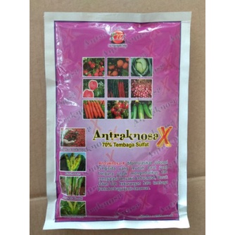 Fungisida Antraknosa X Bahan Aktif Tembaga Sulfat - 250 Gram