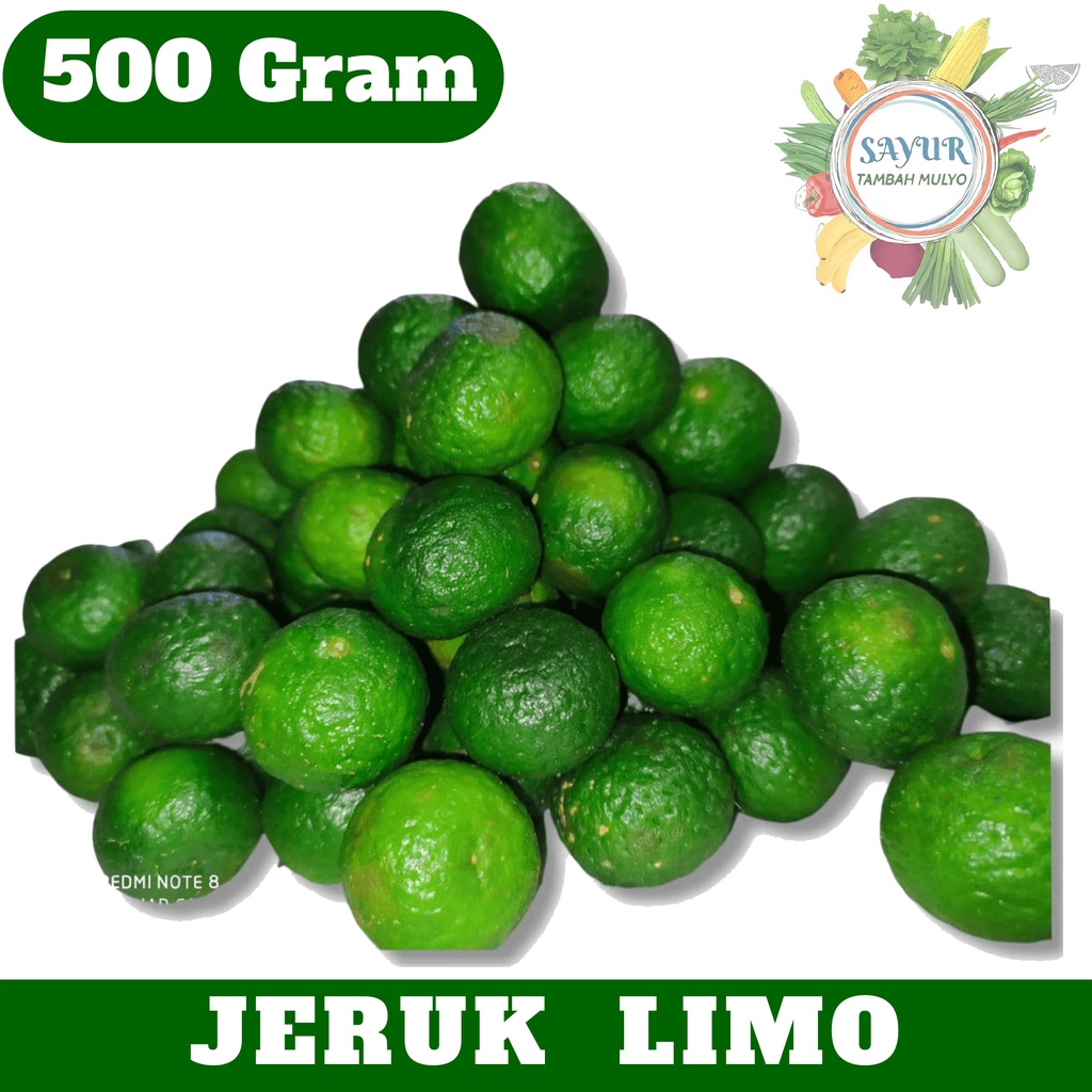 Jual Sayur Segar Jeruk Limo Sambal 500 Gr Gram Murah Shopee Indonesia