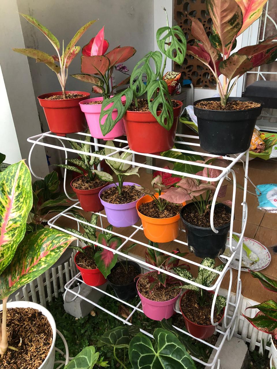 Pupuk Bunga Buah Dekastar Plus Osmocote 6-13-25 100 Gr