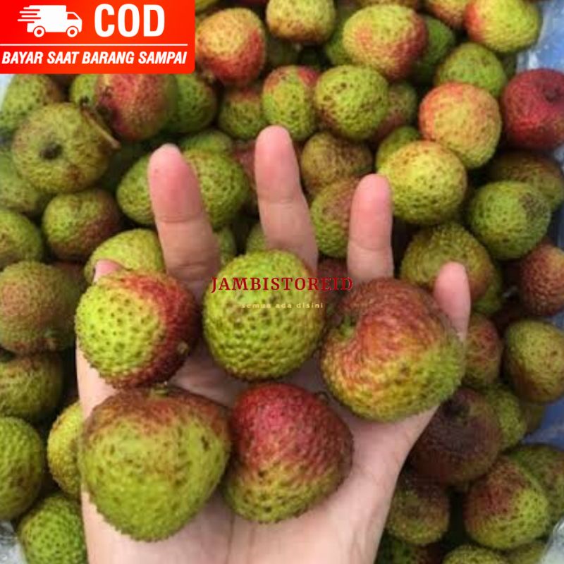 (JAMBISTOREID) PILIH PENGIRIMAN INSTAN Buah Leci Madu Segar 1kg Manis Premium Green Red Lychee Hijau