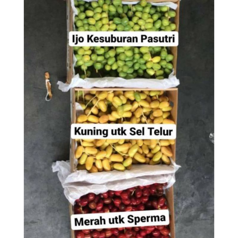 

Kurma Muda 1kg / Kurmud Untuk Promil 500 gram/ Kuma Muda Kuning Merah Hijau