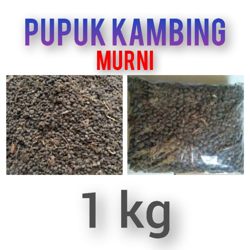 pupuk kandang pupuk kambing murni pupuk srintil pupuk kohe pupuk kambing fermentasi pupuk kambing ka