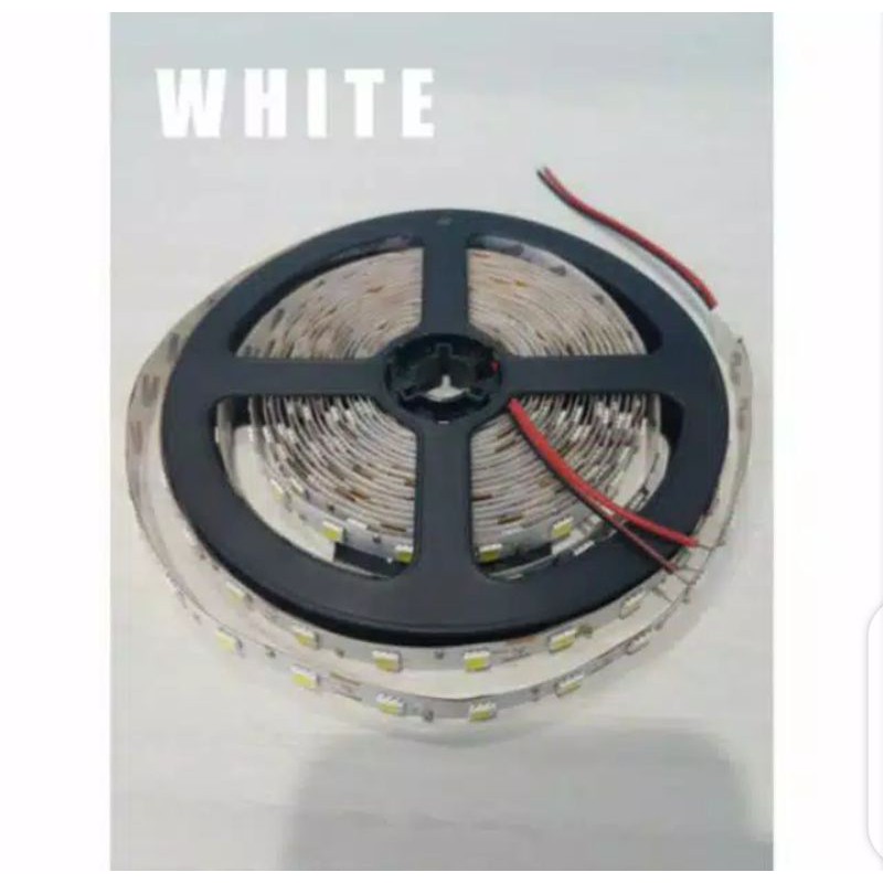 LED strip mata besar 1roll