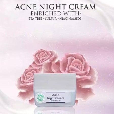 Acne Night Cream MS Glow