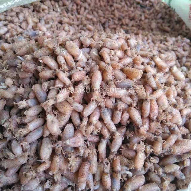 

100 gr baby cumi kering great A terlaris 0,5-2CM/3-5CM