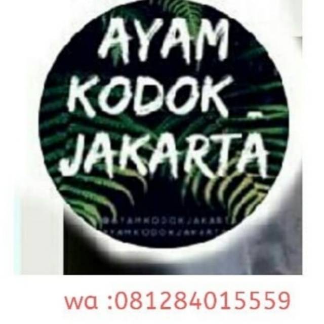 syarimarsha
