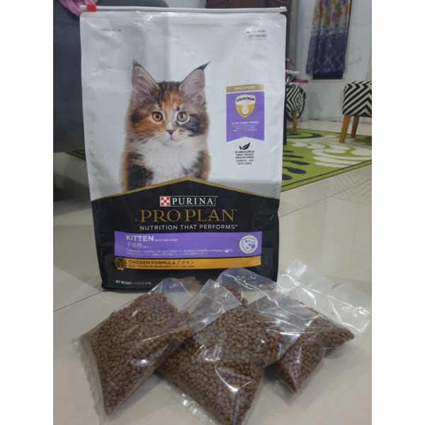 proplan kitten