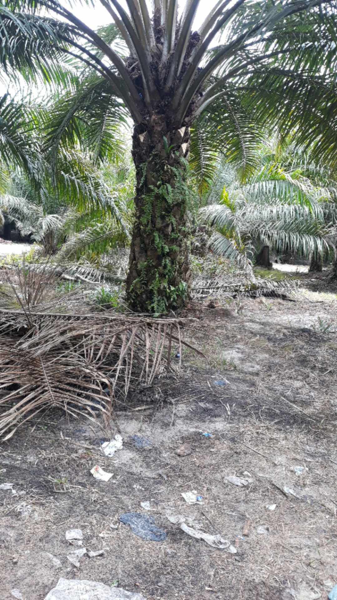 Rak Kamar Mandi 2 Susun Tingkat Aluminium Wc Dinding Toilet Dapur Serbaguna Tingkat Segi4 Kotak