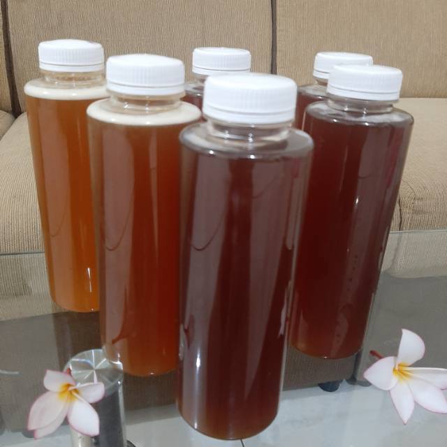 

Madu Trigona / Klanceng Murni