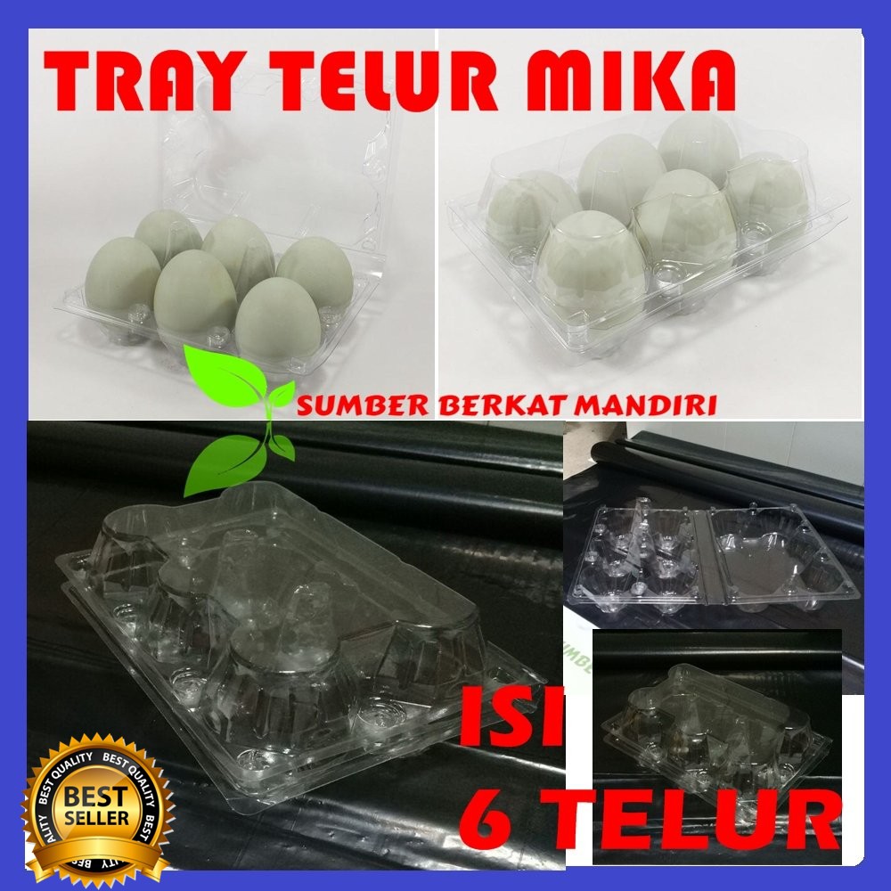Tray Telur / Egg Tray / Mika Telur Isi 6 Butir Dengan Pengunci
