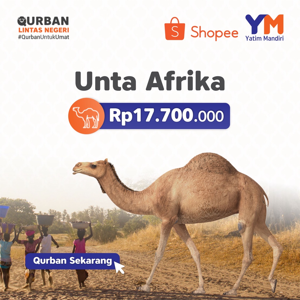 YATIM MANDIRI - QURBAN UNTA 1 EKOR AFRIKA