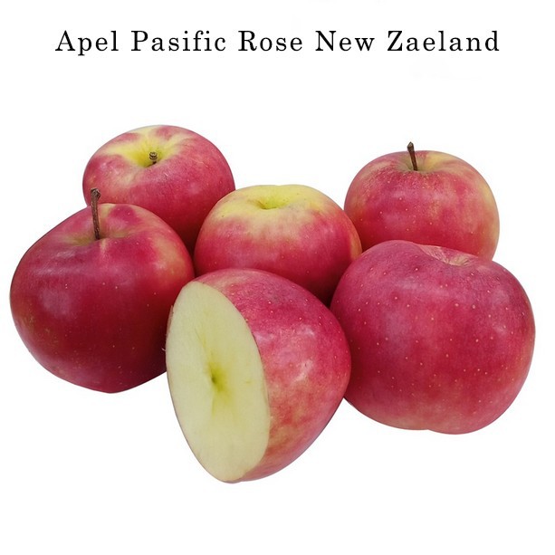 

APEL PASIFIC ROSE NEW ZEALAND PREMIUM 500gr
