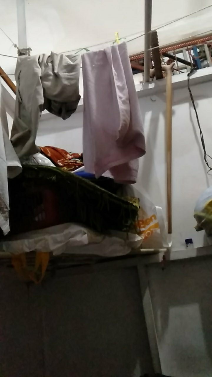 Tongkat Jalan Kayu Bidara Asli Gg336