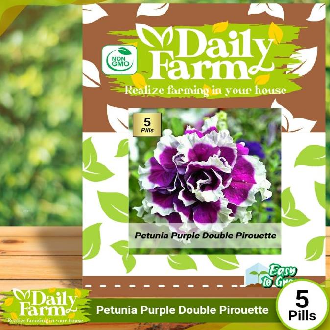 Benih Bunga Petunia Purple Double Pirouette - Daily Farm