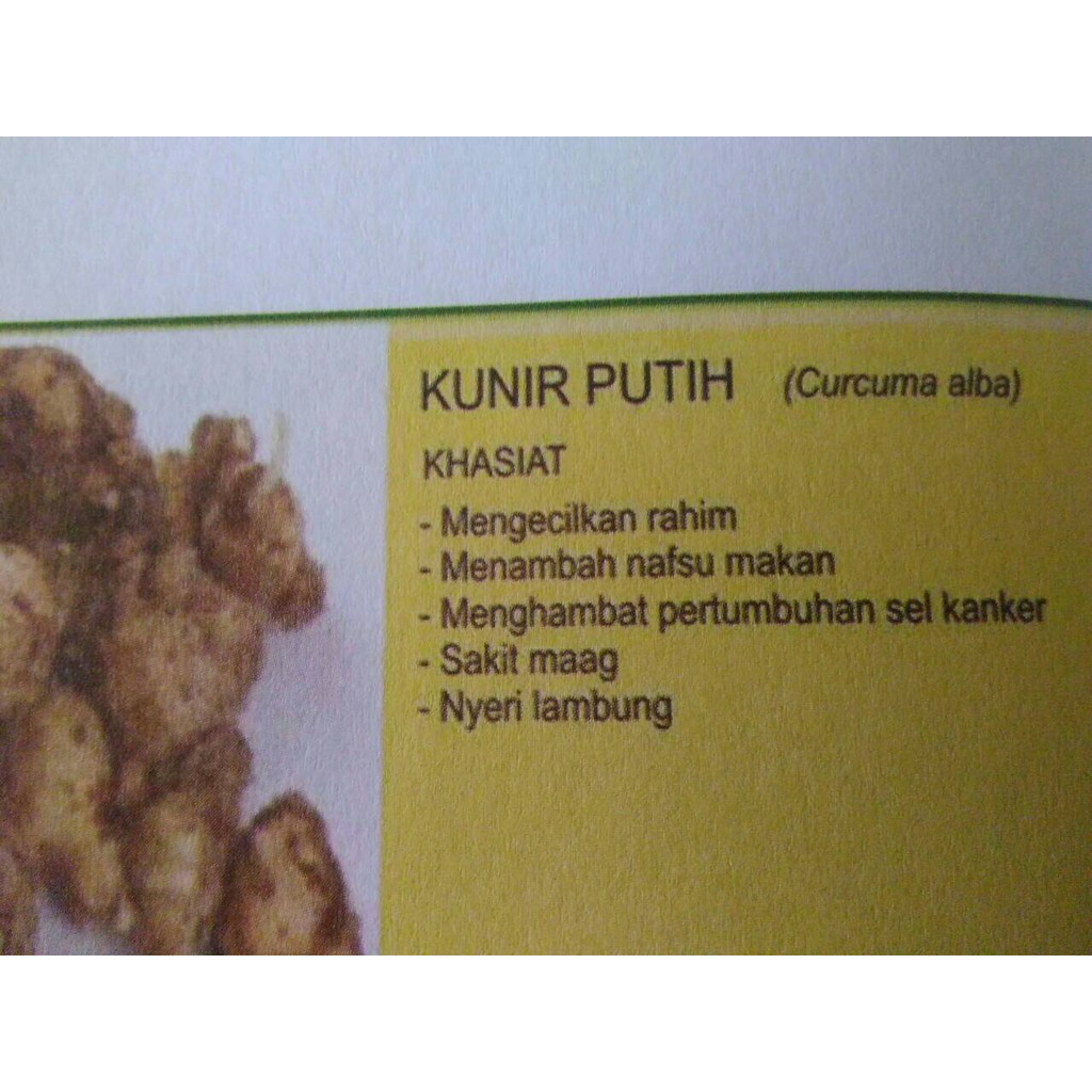 Kunyit Putih Serbuk Bubuk Kunir Putih Indonesia