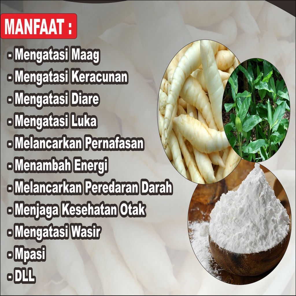 

Piscoklegit_ Tepung Garut / Tepung Irut / Tepung Pati Asam Lambung 500Gr
