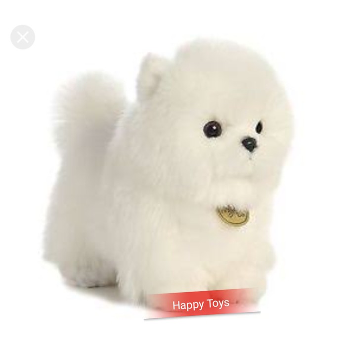 Boneka Boneka Anjing Pom Putih Shopee Indonesia